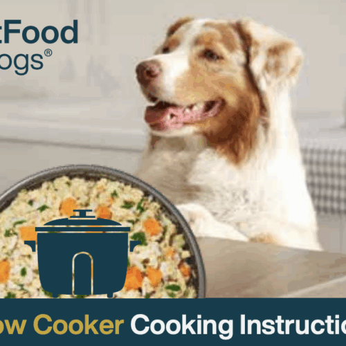crock pot dog food